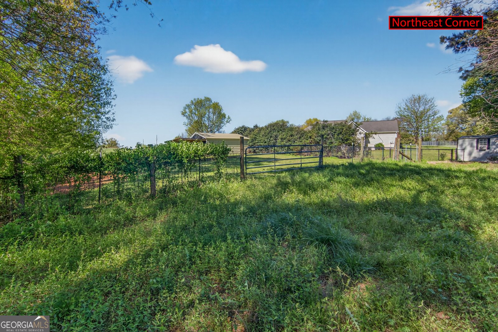 1211 Parham Town Road Bowman - Photo 69