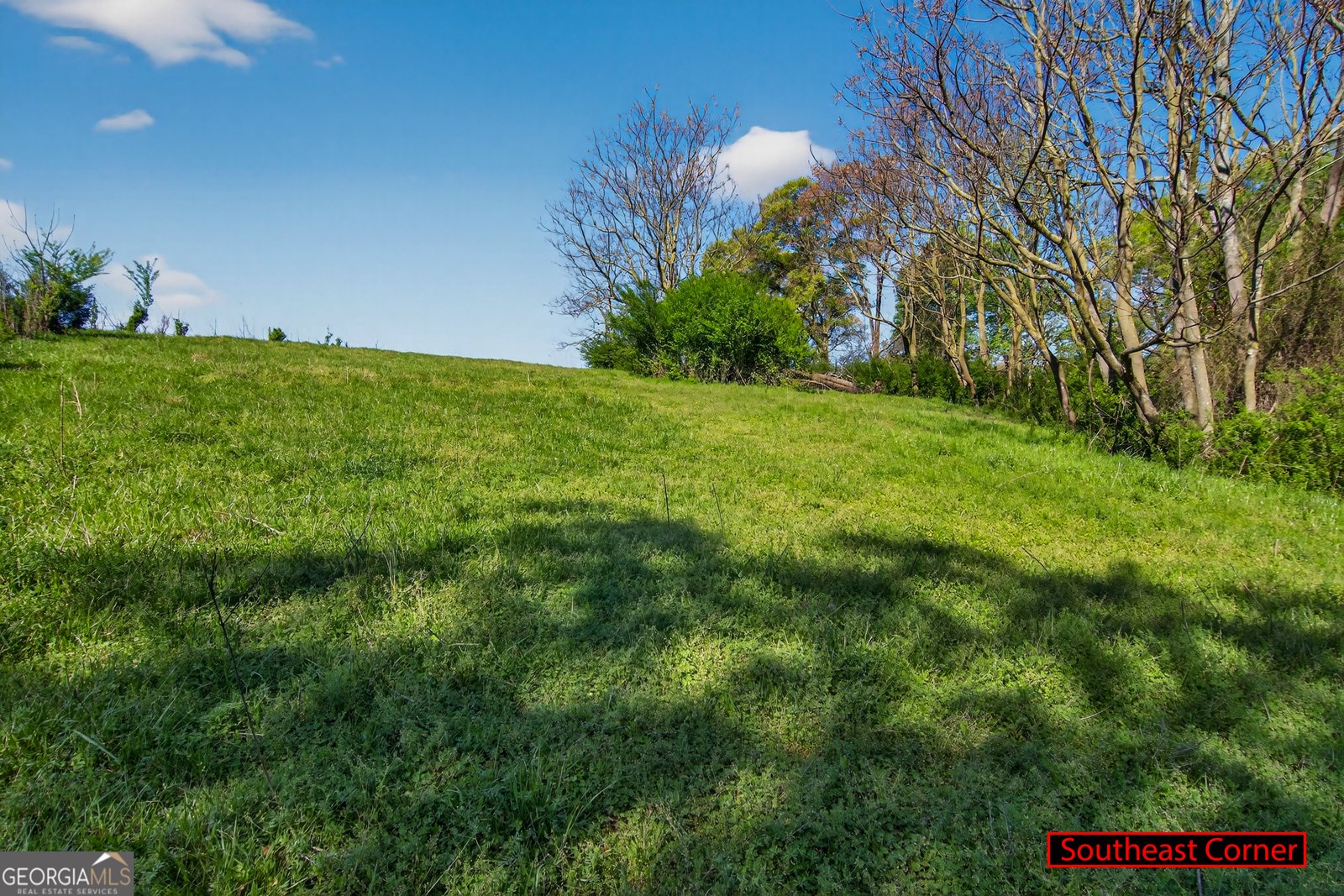 1211 Parham Town Road Bowman - Photo 70