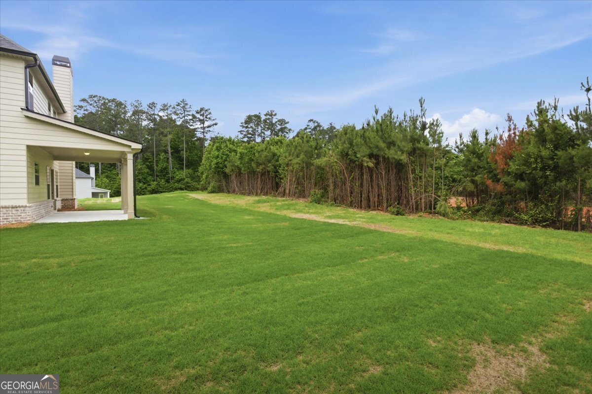 4619 Rex Road Stockbridge - Photo 37