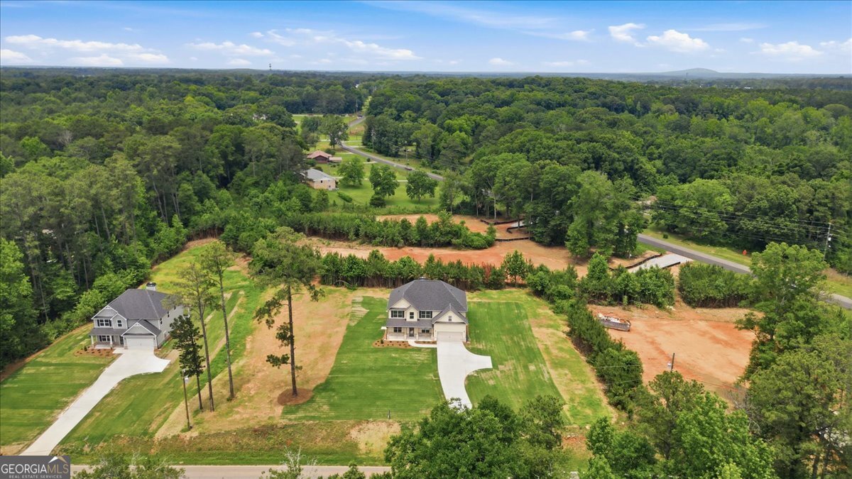 4619 Rex Road Stockbridge - Photo 38