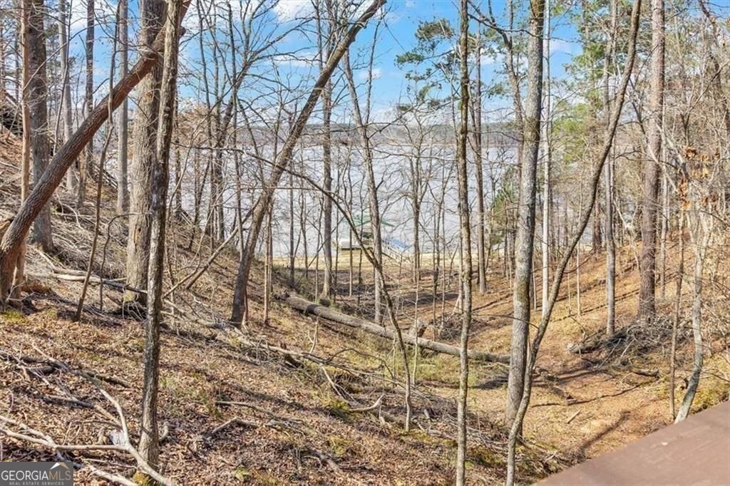 1075 Willow Way Lincolnton - Photo 11