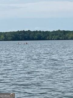 1075 Willow Way Lincolnton - Photo 50