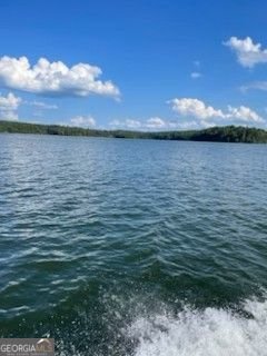 1075 Willow Way Lincolnton - Photo 52