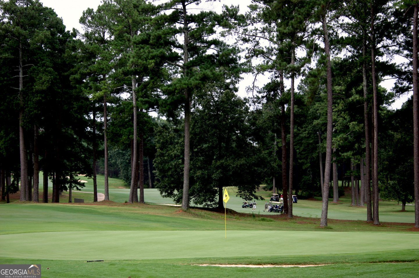 170 Fairplay Street Rutledge - Photo 42