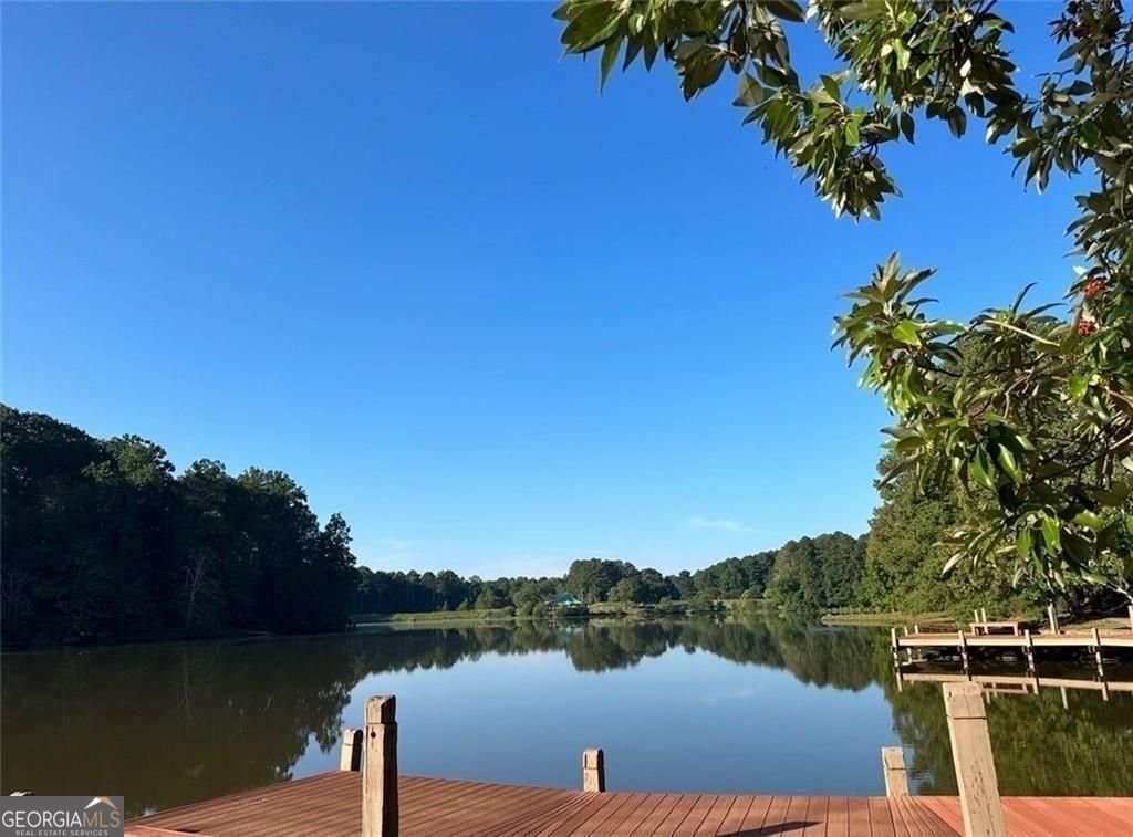 590 Woodbrook Way Lawrenceville - Photo 74