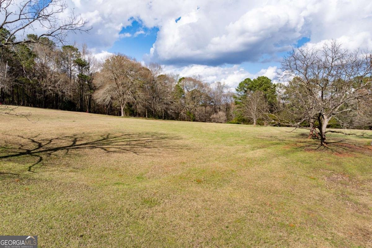 1120 Brittain Estates Drive Watkinsville - Photo 18