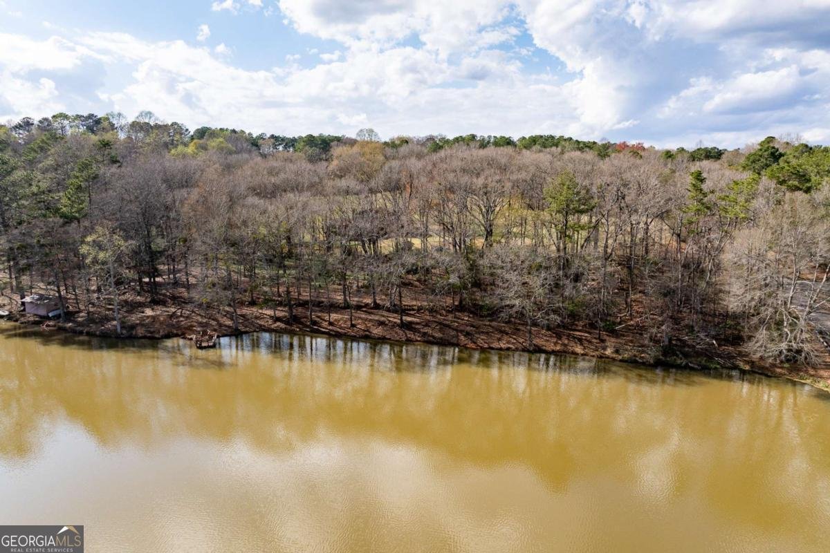 1120 Brittain Estates Drive Watkinsville - Photo 21