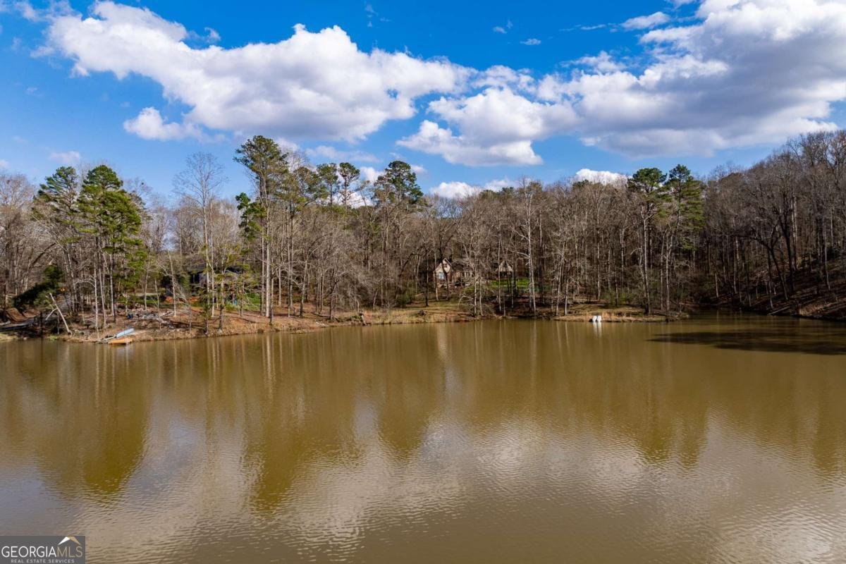 1120 Brittain Estates Drive Watkinsville - Photo 22