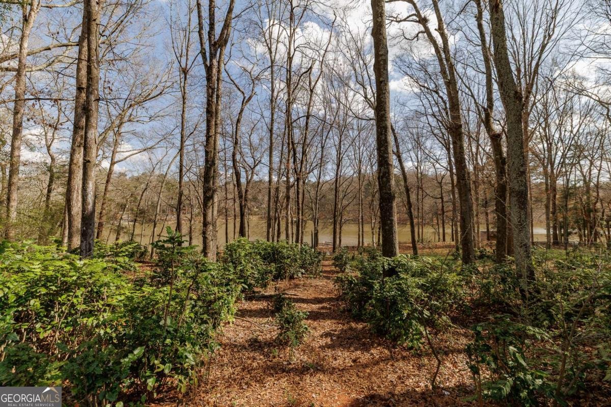 1120 Brittain Estates Drive Watkinsville - Photo 24