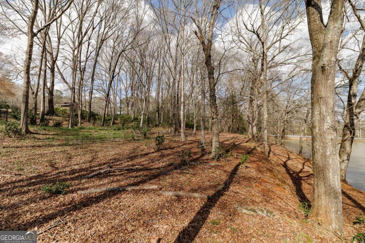 1120 Brittain Estates Drive Watkinsville - Photo 26