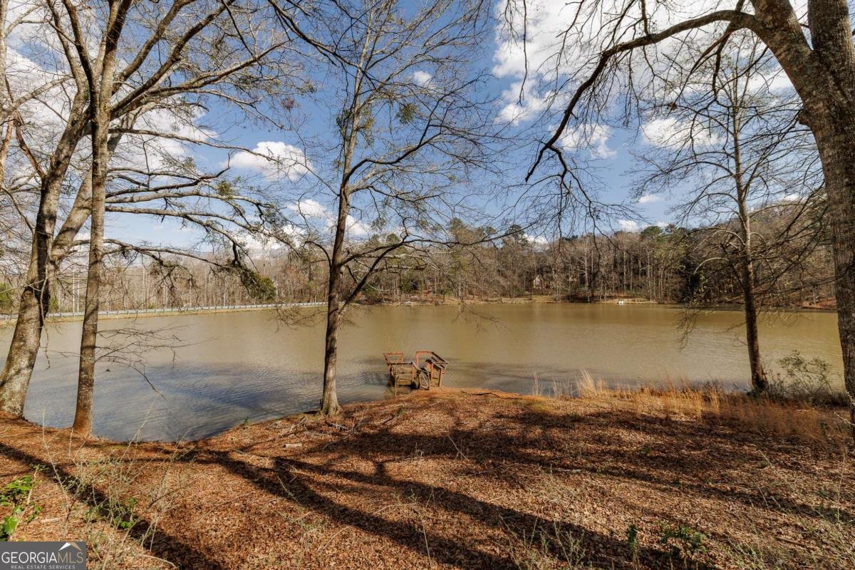 1120 Brittain Estates Drive Watkinsville - Photo 27