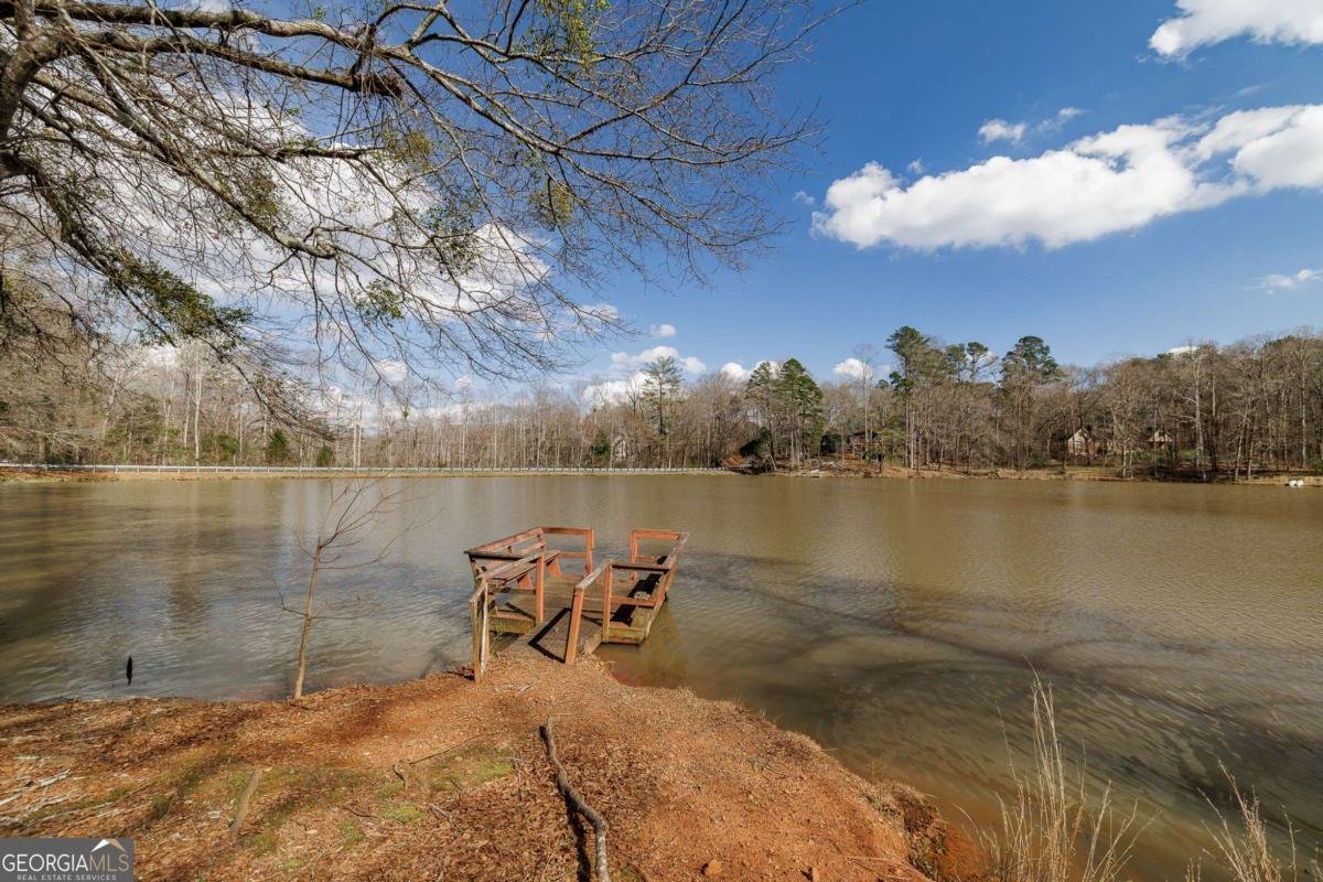 1120 Brittain Estates Drive Watkinsville - Photo 28