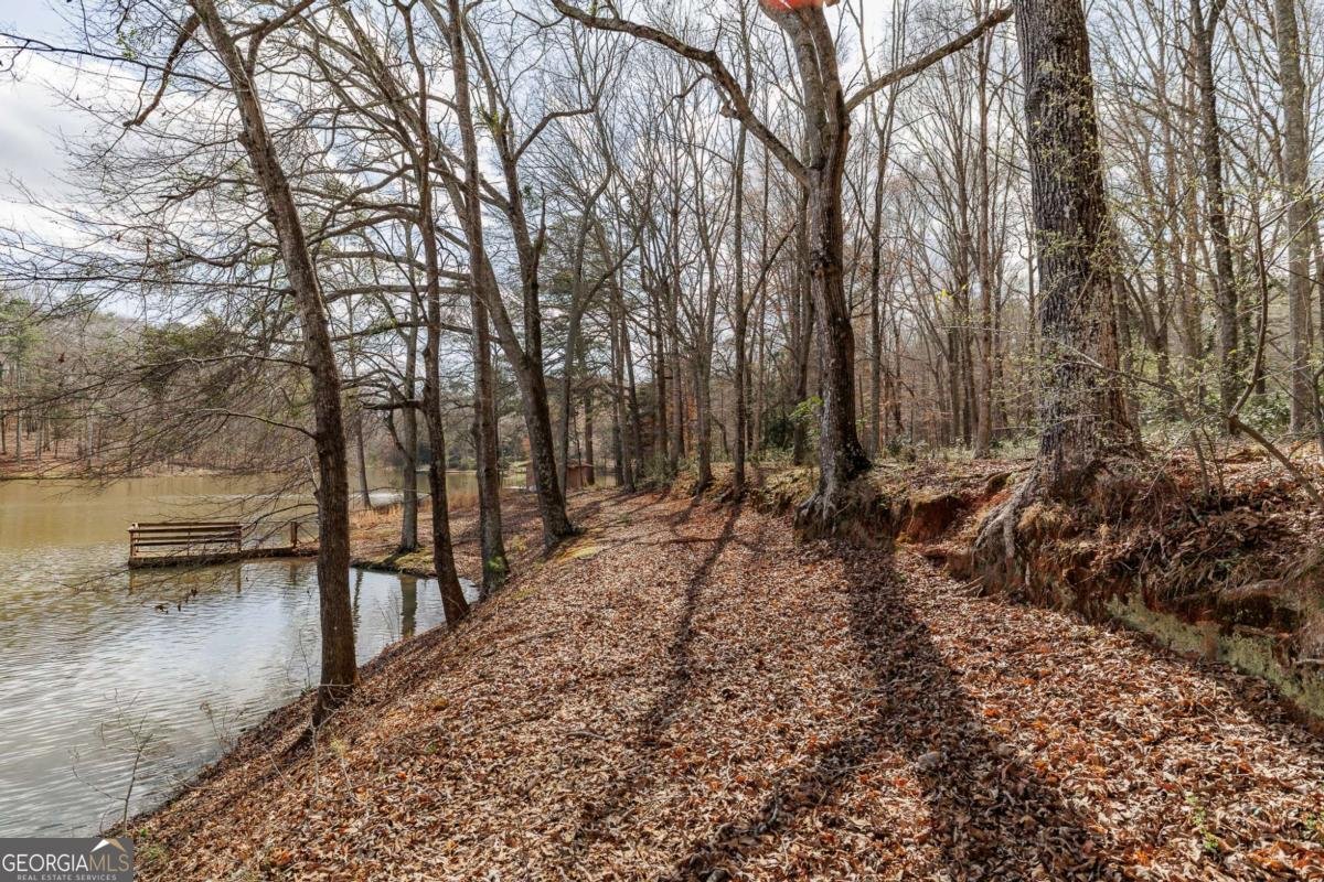 1120 Brittain Estates Drive Watkinsville - Photo 29