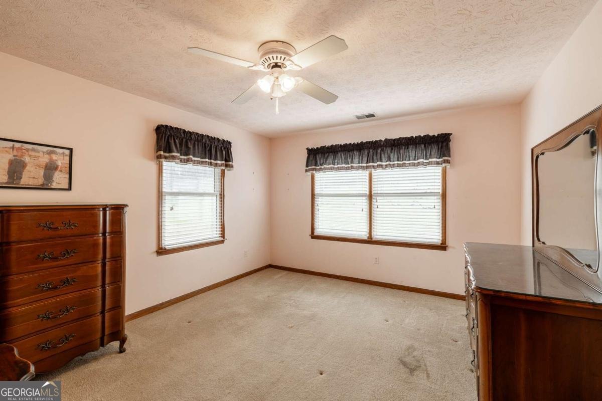 1120 Brittain Estates Drive Watkinsville - Photo 63