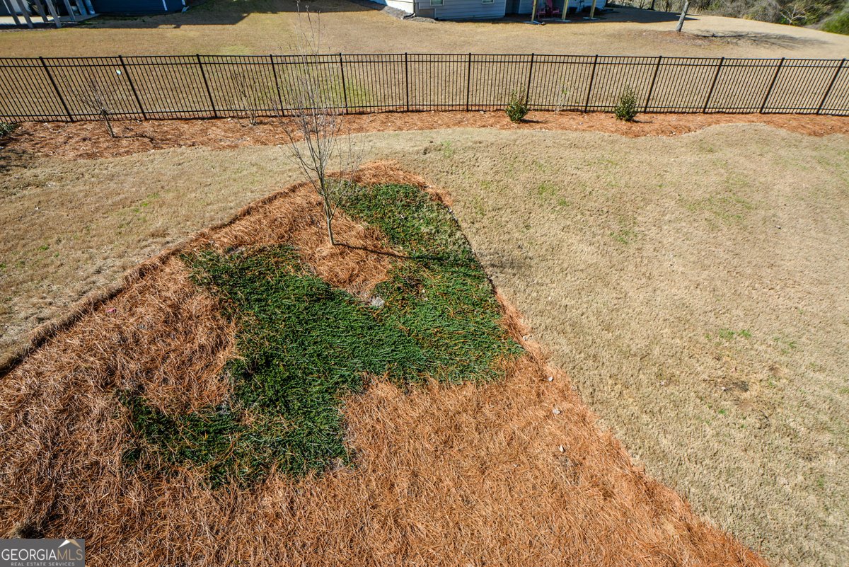 6369 Stonebridge Cove Braselton - Photo 63