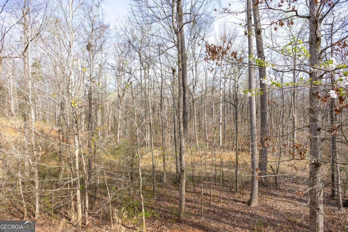 645 Wynnewood Court Powder Springs - Photo 69