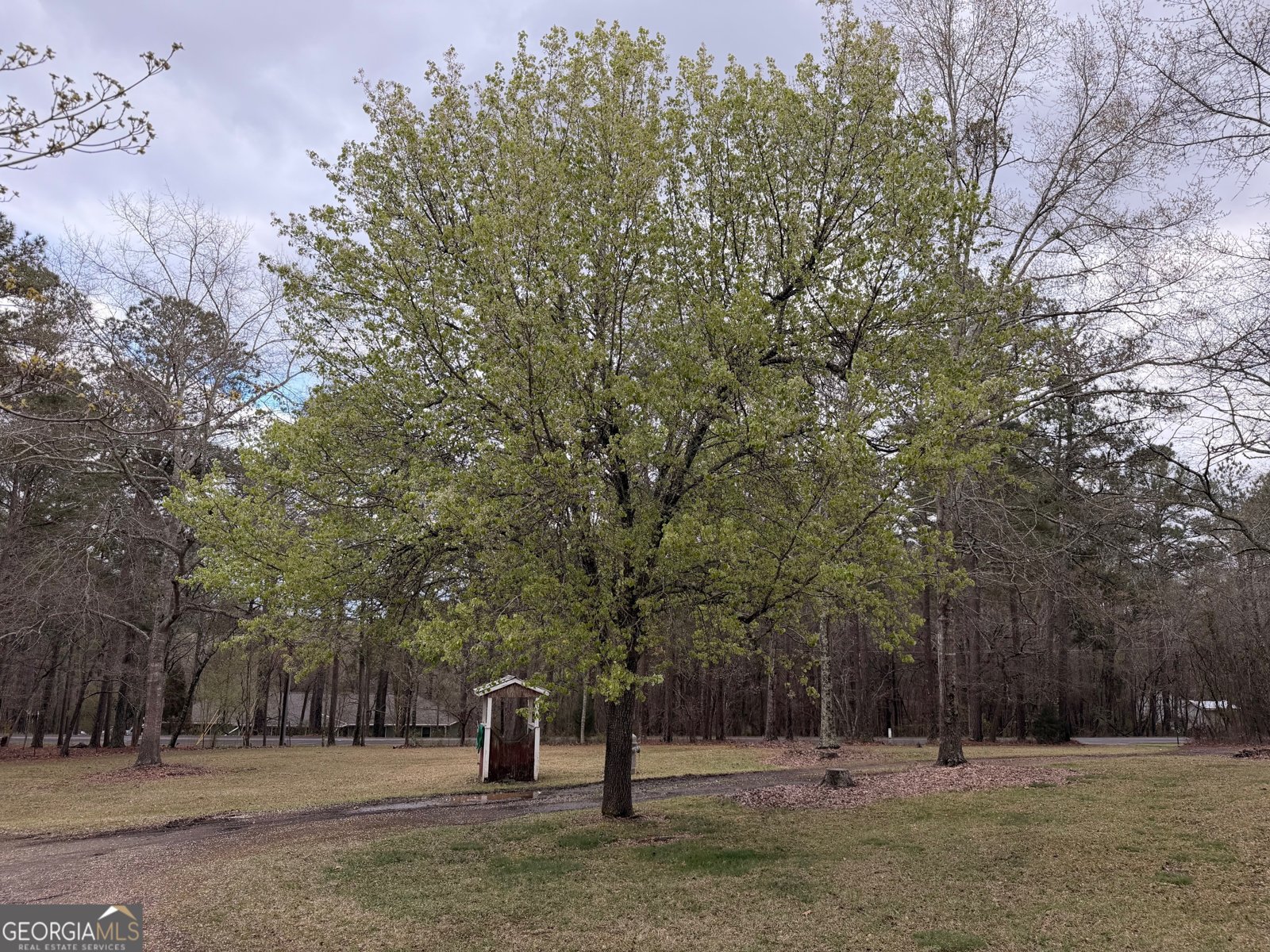 201 Overlook Trail Dallas - Photo 22