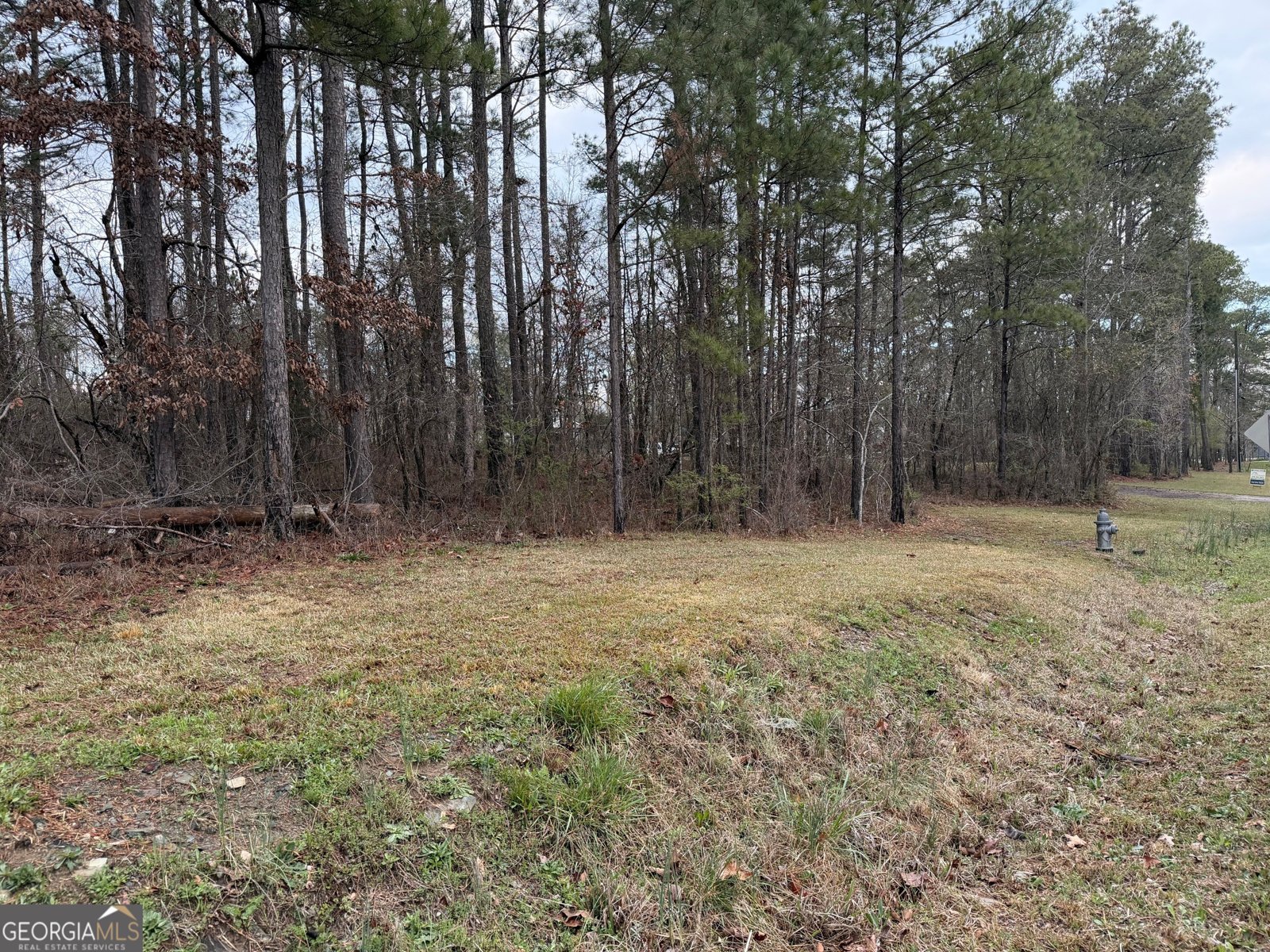 201 Overlook Trail Dallas - Photo 24