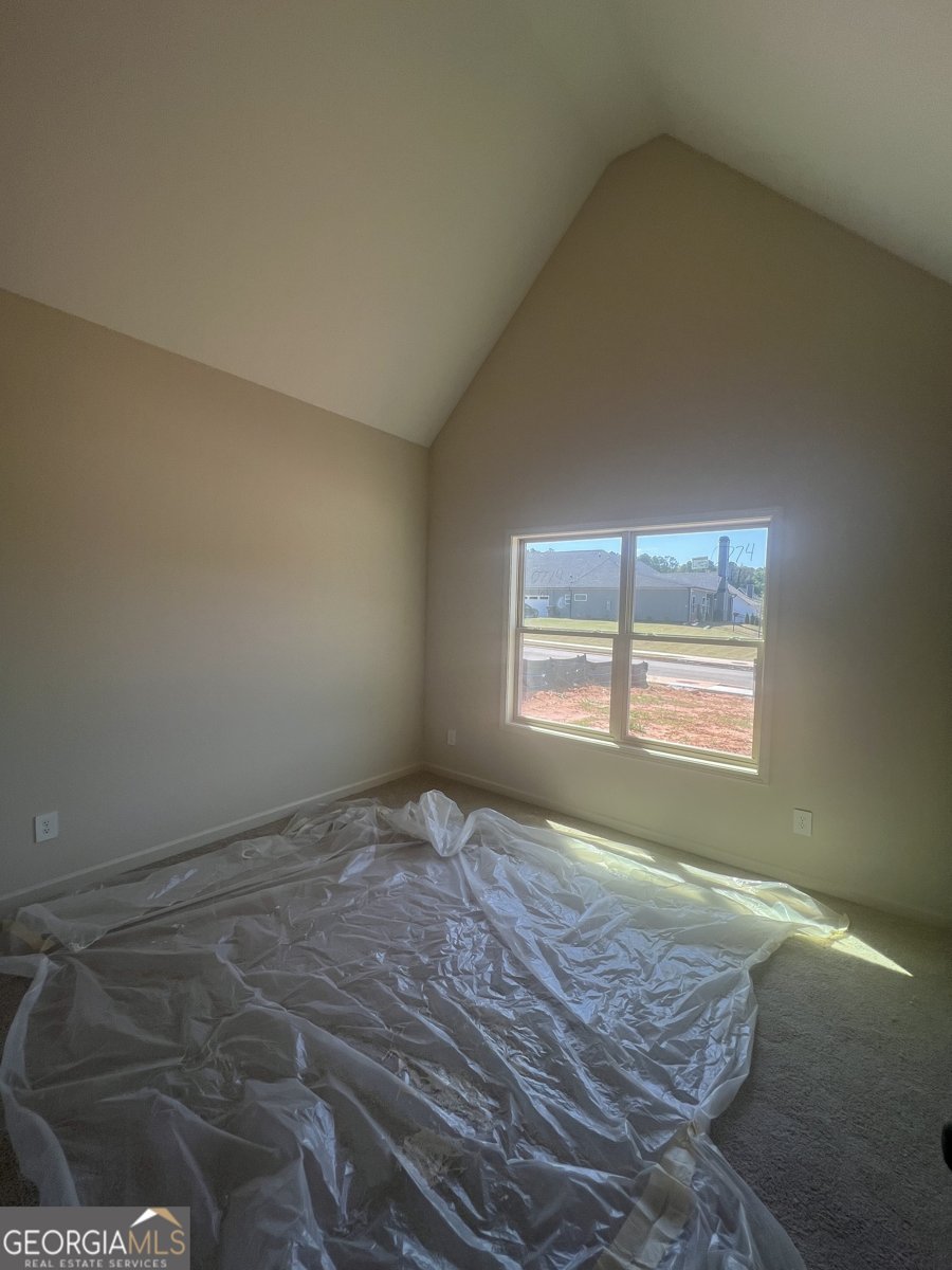 308 Hammerstone Court Senoia - Photo 15