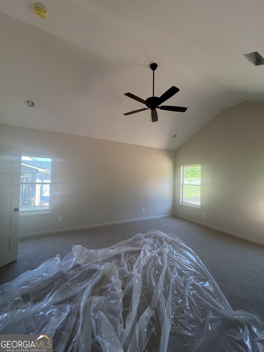 308 Hammerstone Court Senoia - Photo 9