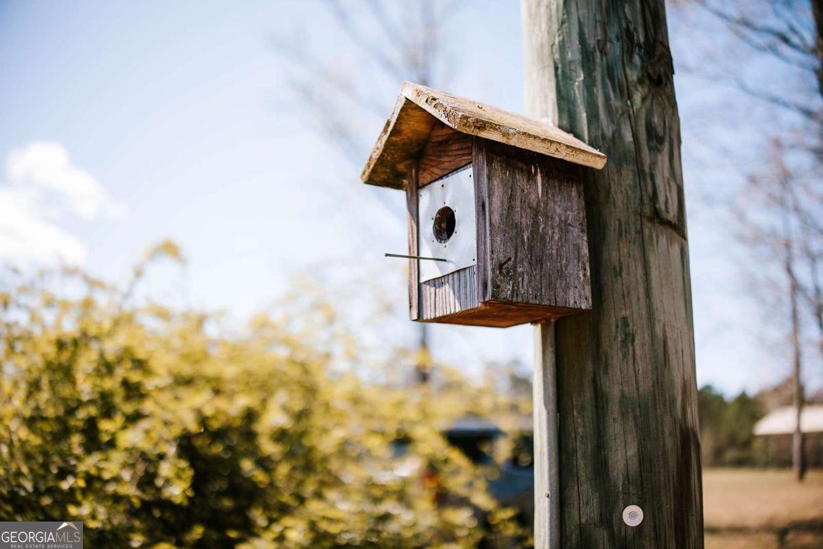 2242 Crawfordville Road Rayle - Photo 39