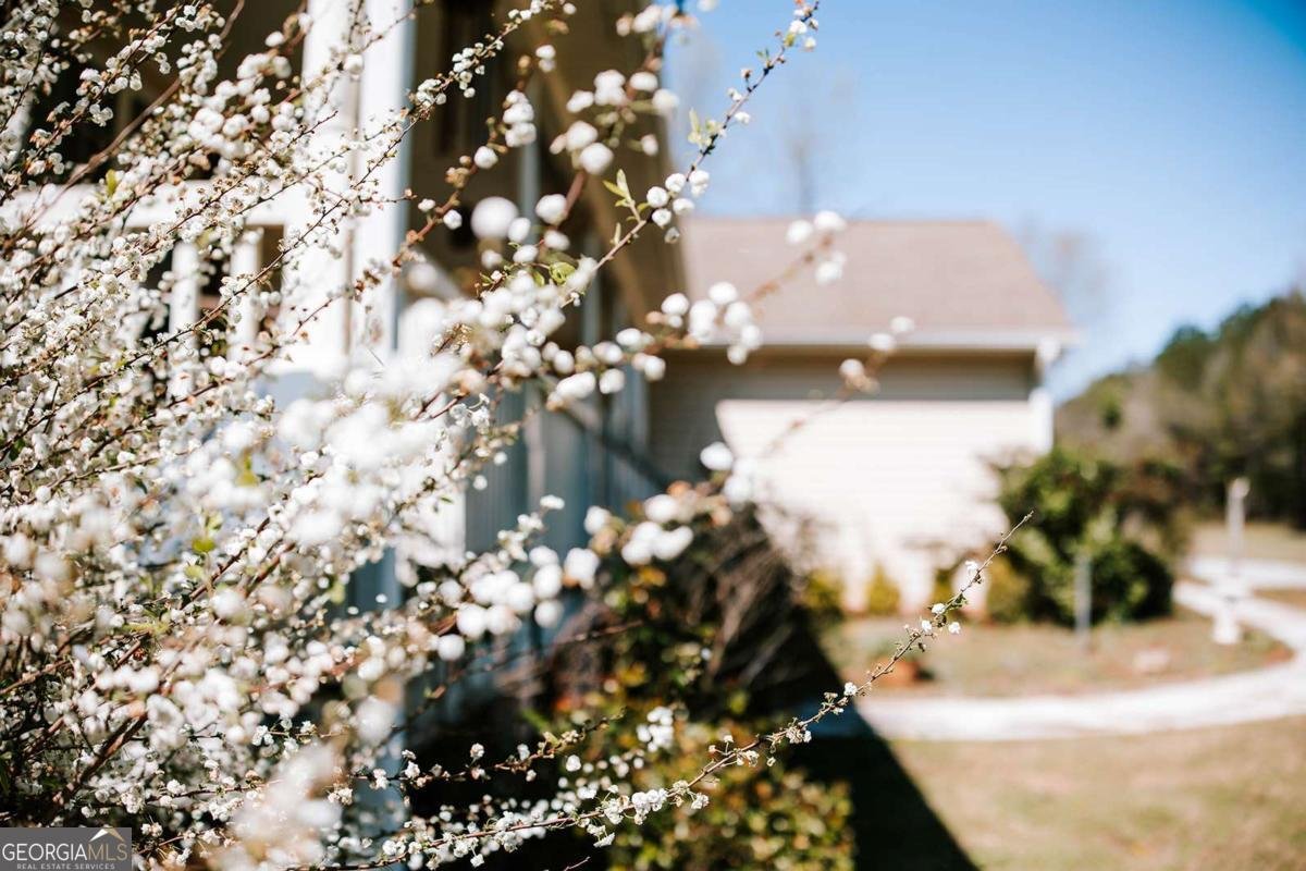 2242 Crawfordville Road Rayle - Photo 42