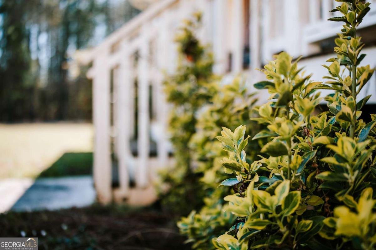 2242 Crawfordville Road Rayle - Photo 43