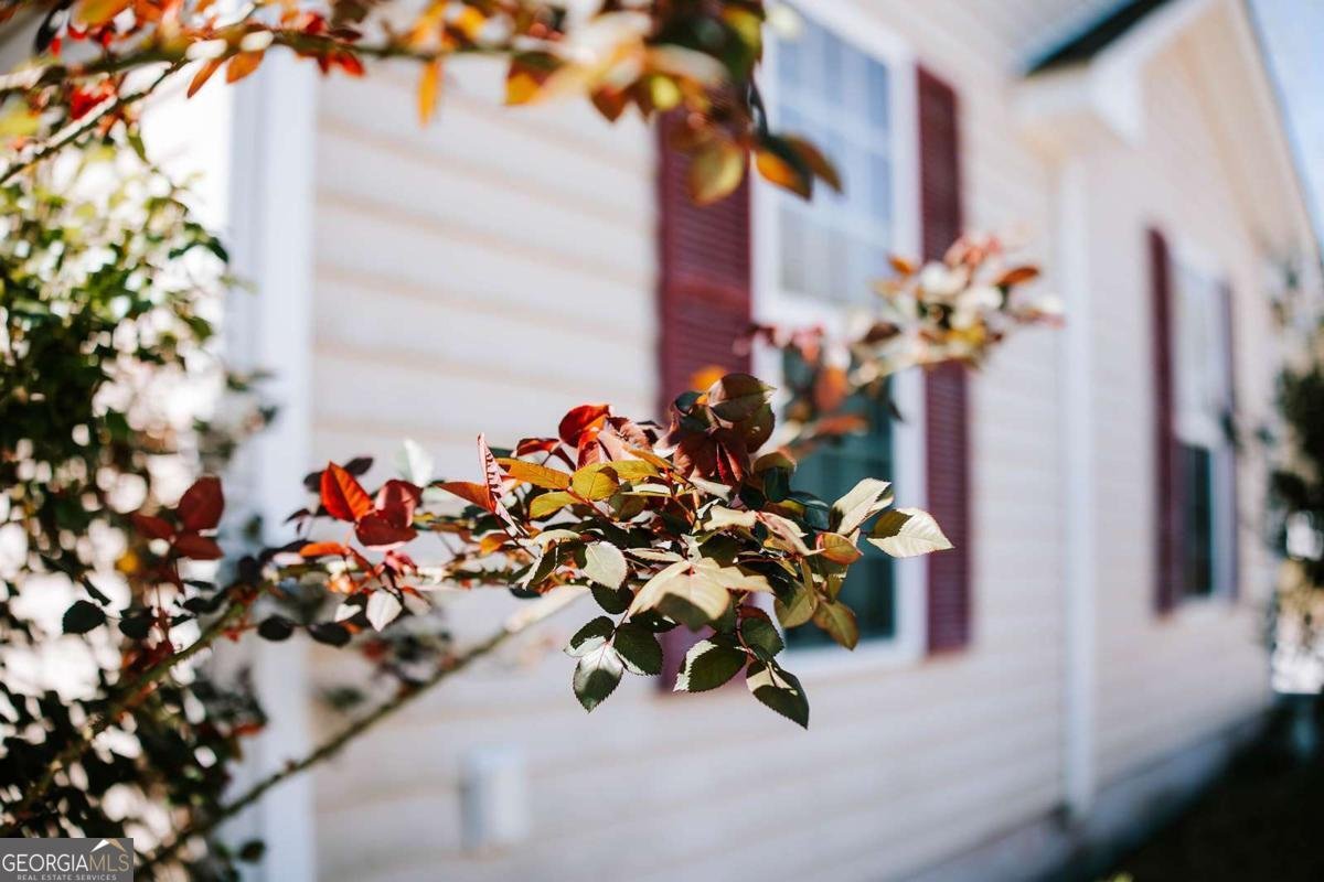 2242 Crawfordville Road Rayle - Photo 44