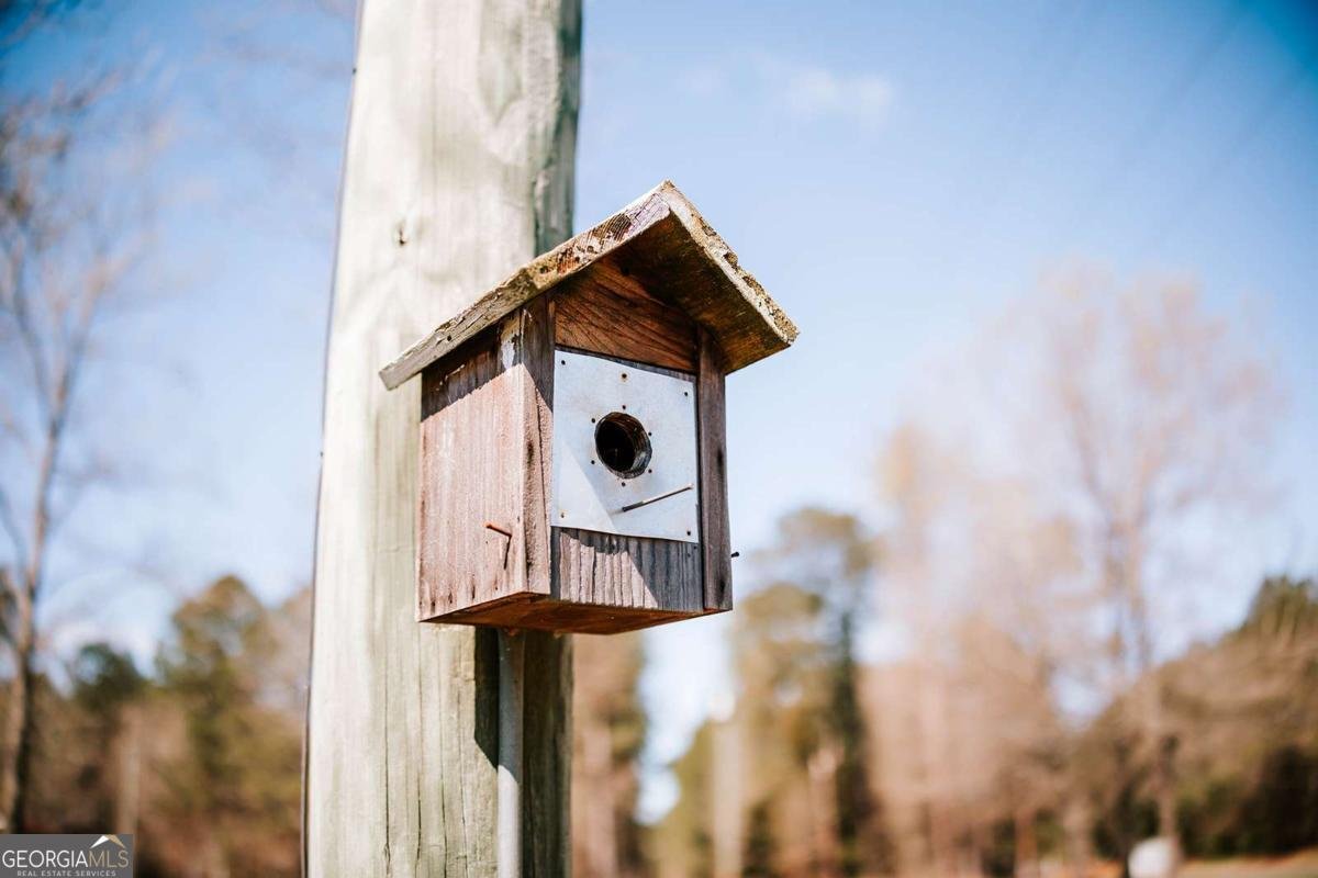 2242 Crawfordville Road Rayle - Photo 46