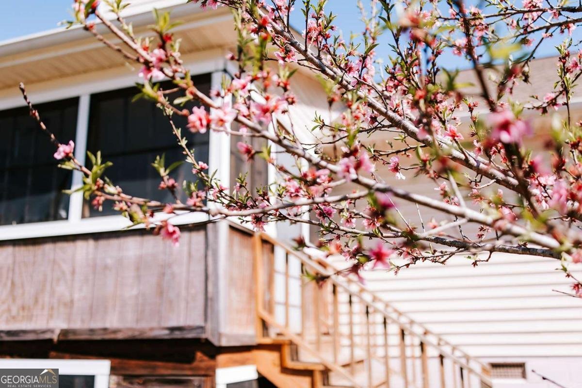 2242 Crawfordville Road Rayle - Photo 49