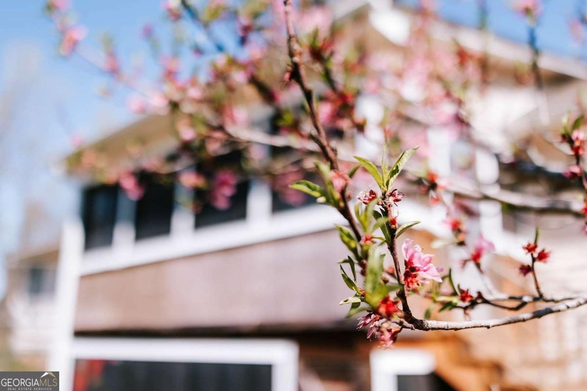 2242 Crawfordville Road Rayle - Photo 50