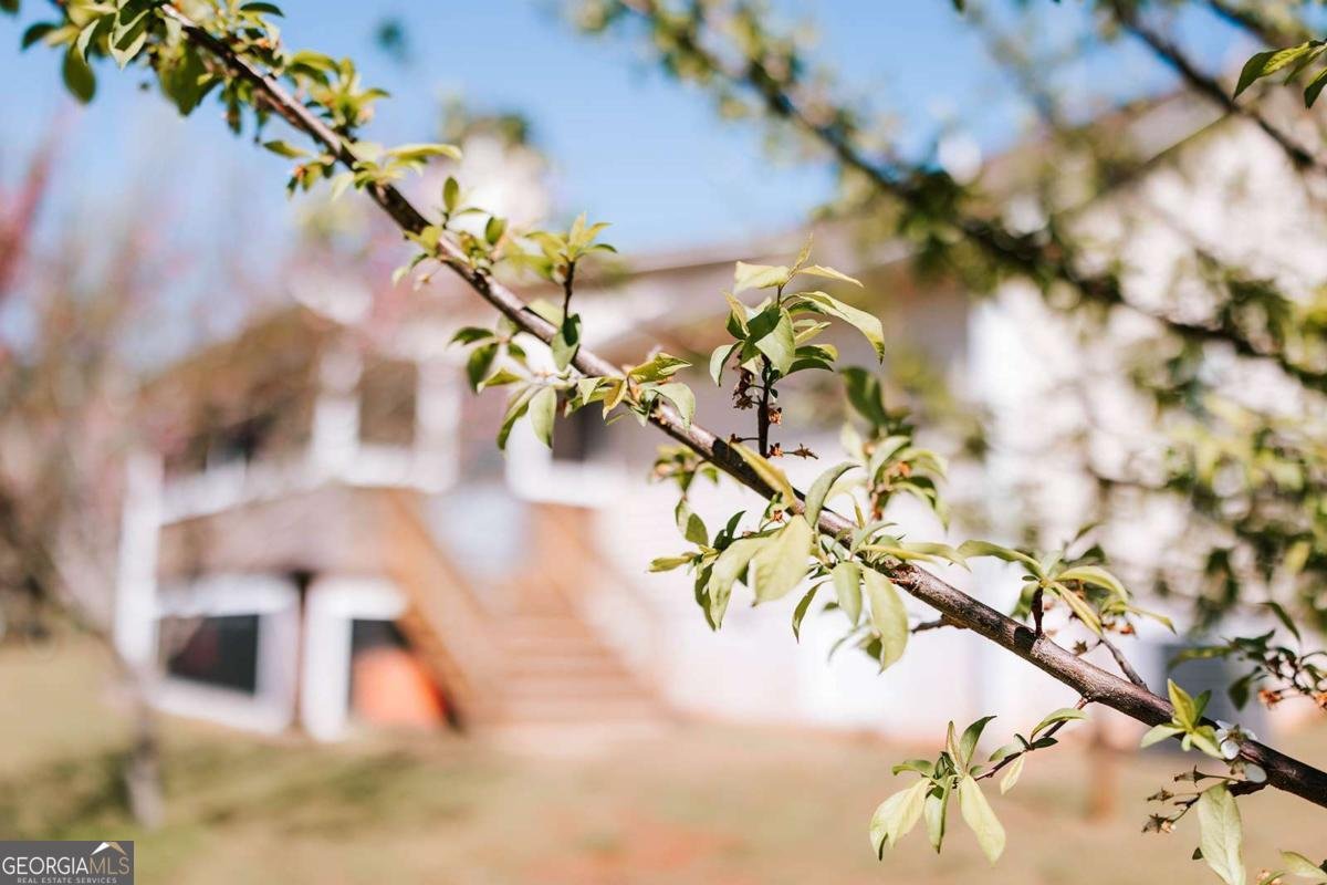 2242 Crawfordville Road Rayle - Photo 51