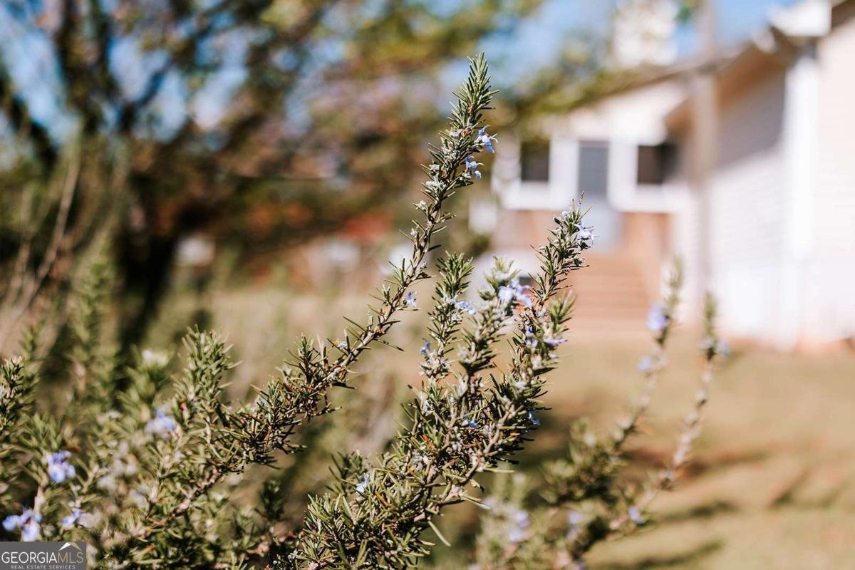 2242 Crawfordville Road Rayle - Photo 52