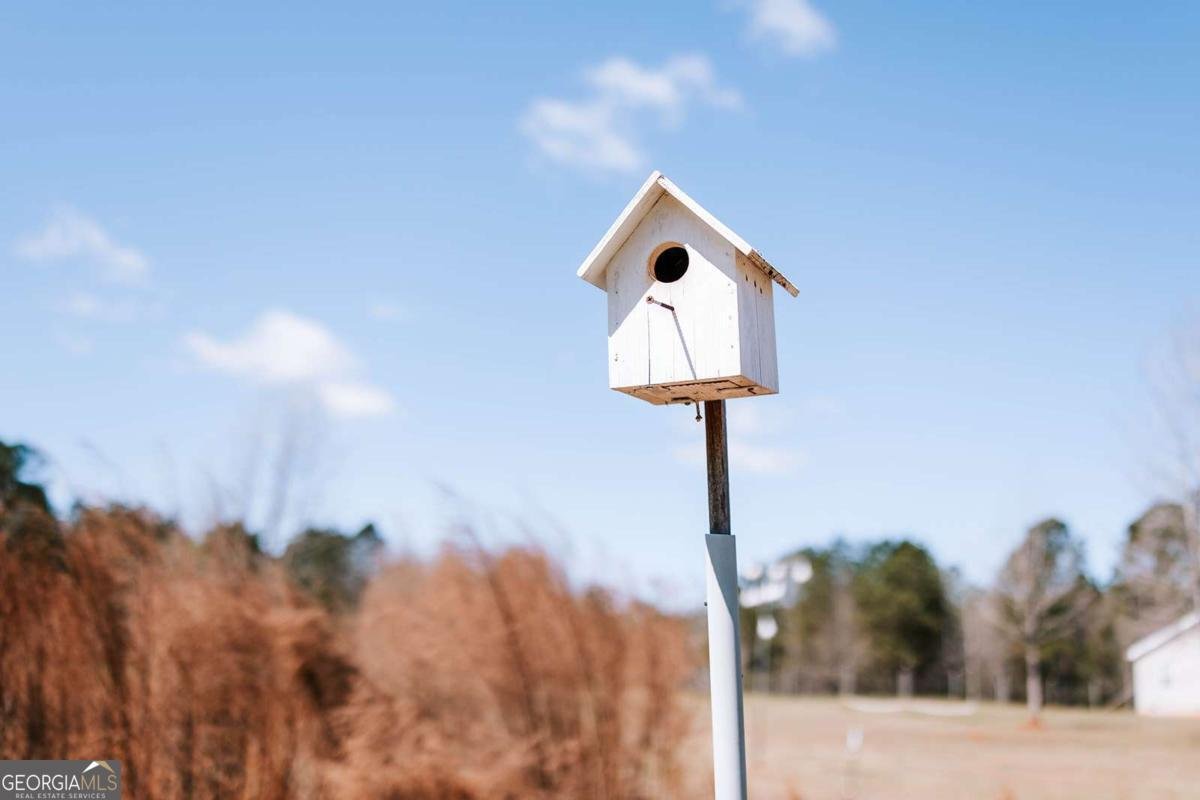 2242 Crawfordville Road Rayle - Photo 53