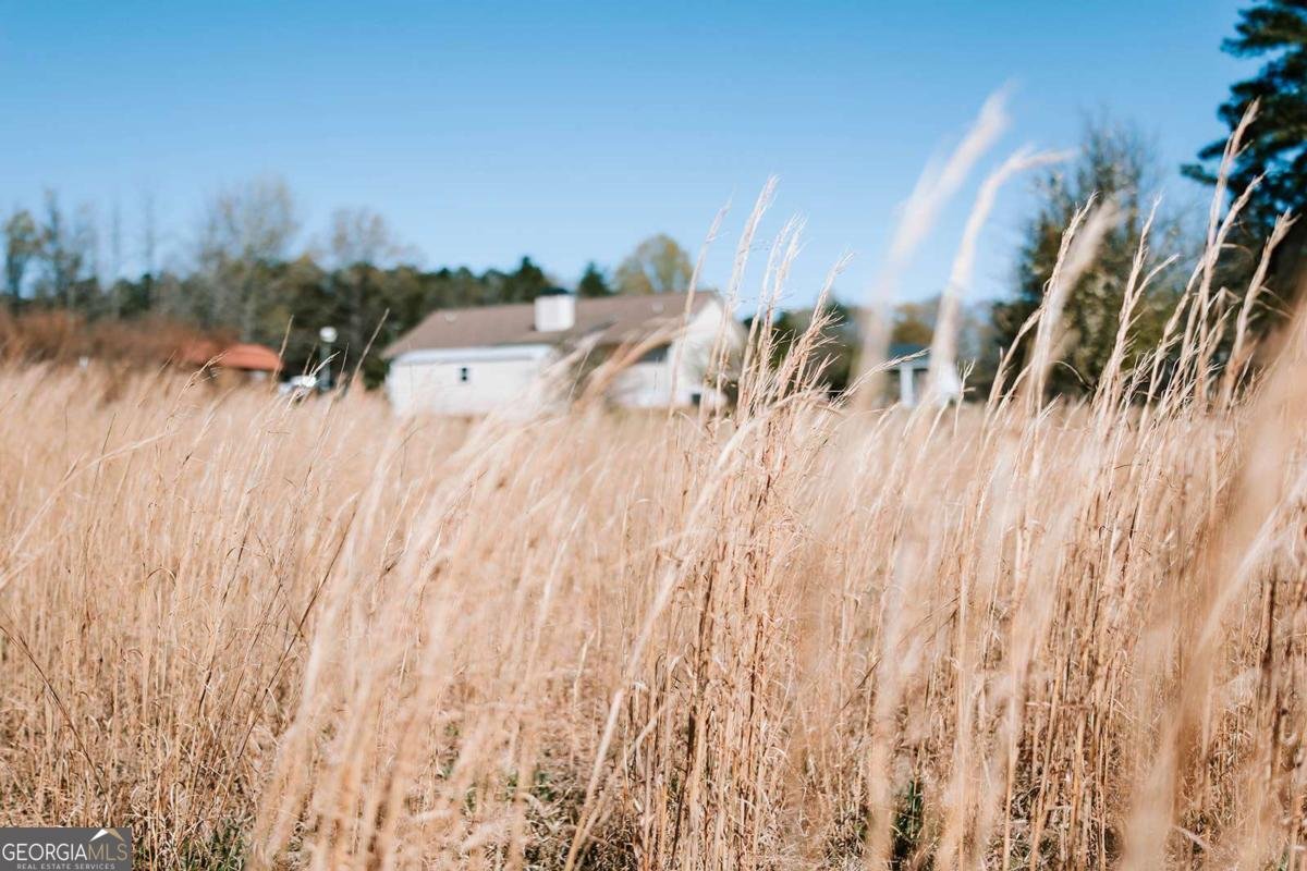 2242 Crawfordville Road Rayle - Photo 55