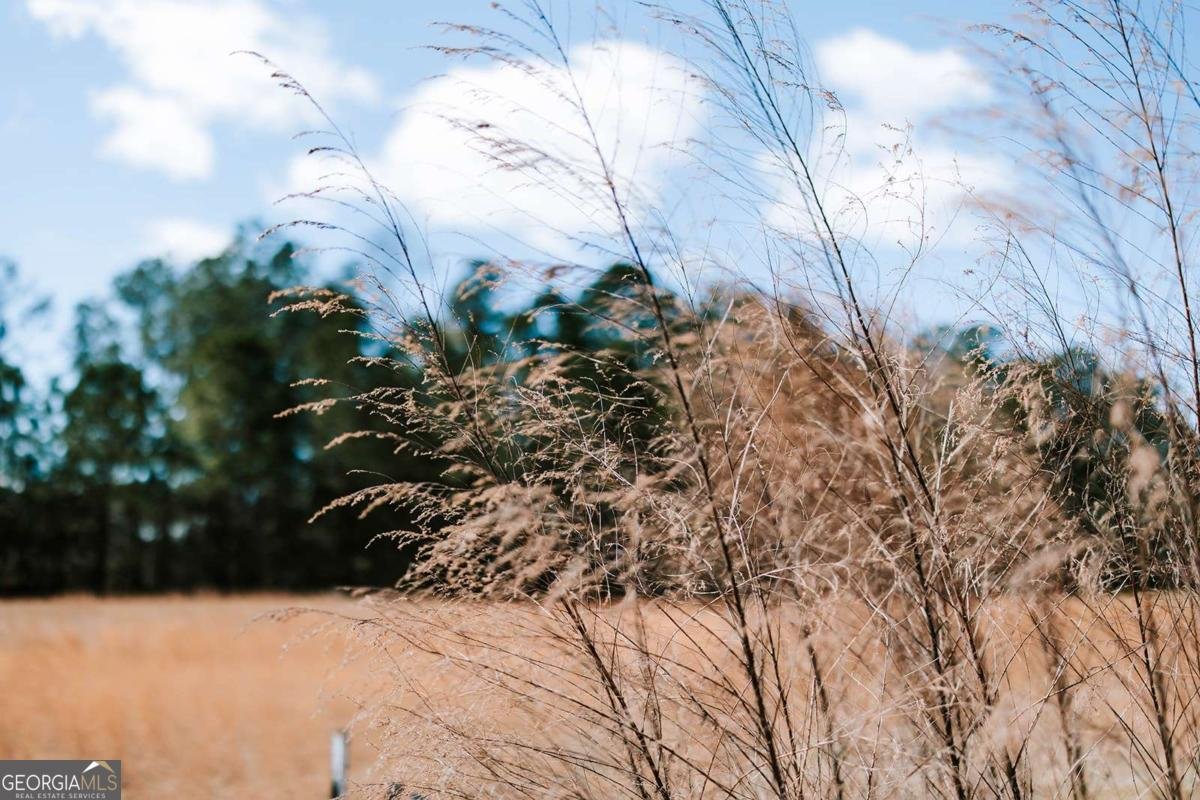 2242 Crawfordville Road Rayle - Photo 56