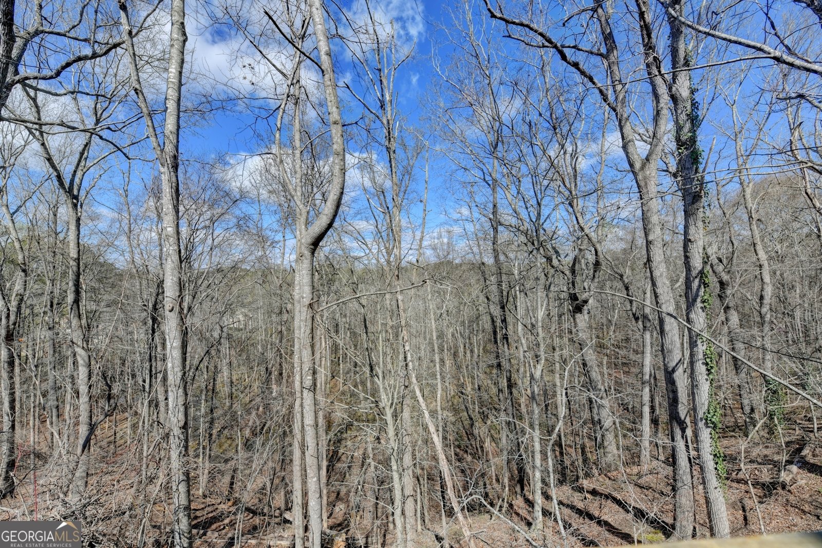 30 Karen Camile Drive Lawrenceville - Photo 50