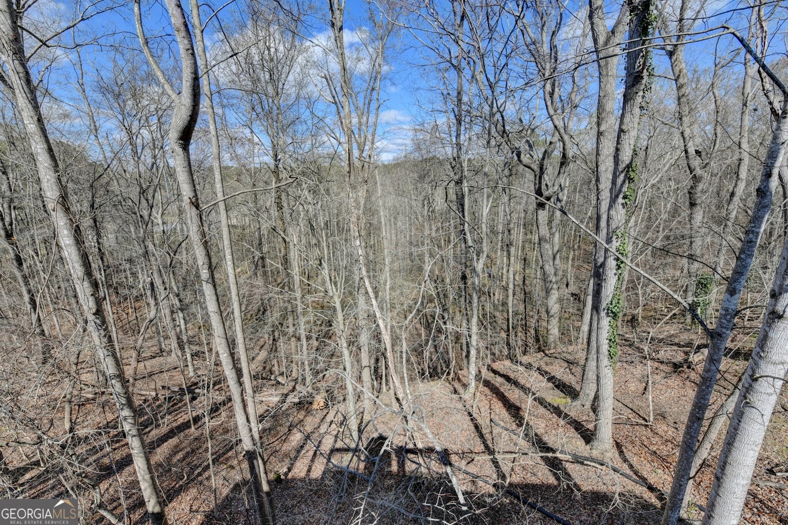 30 Karen Camile Drive Lawrenceville - Photo 51