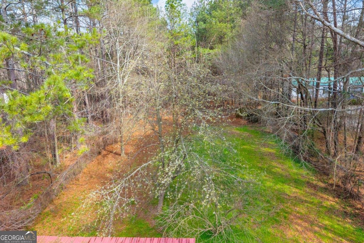 235 Double Branch Road Danielsville - Photo 63