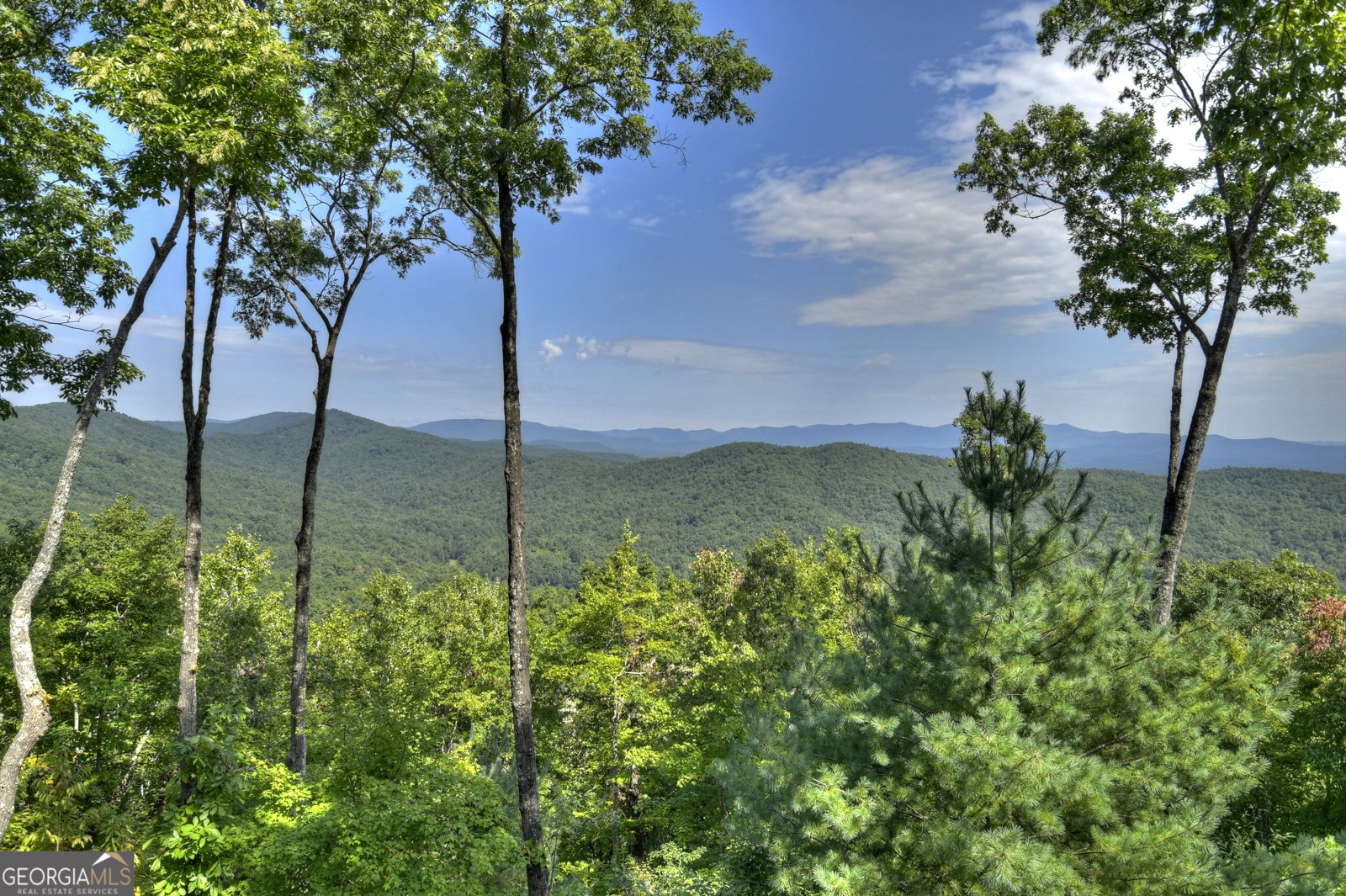 72 Wohali Knob Trail Ellijay - Photo 14