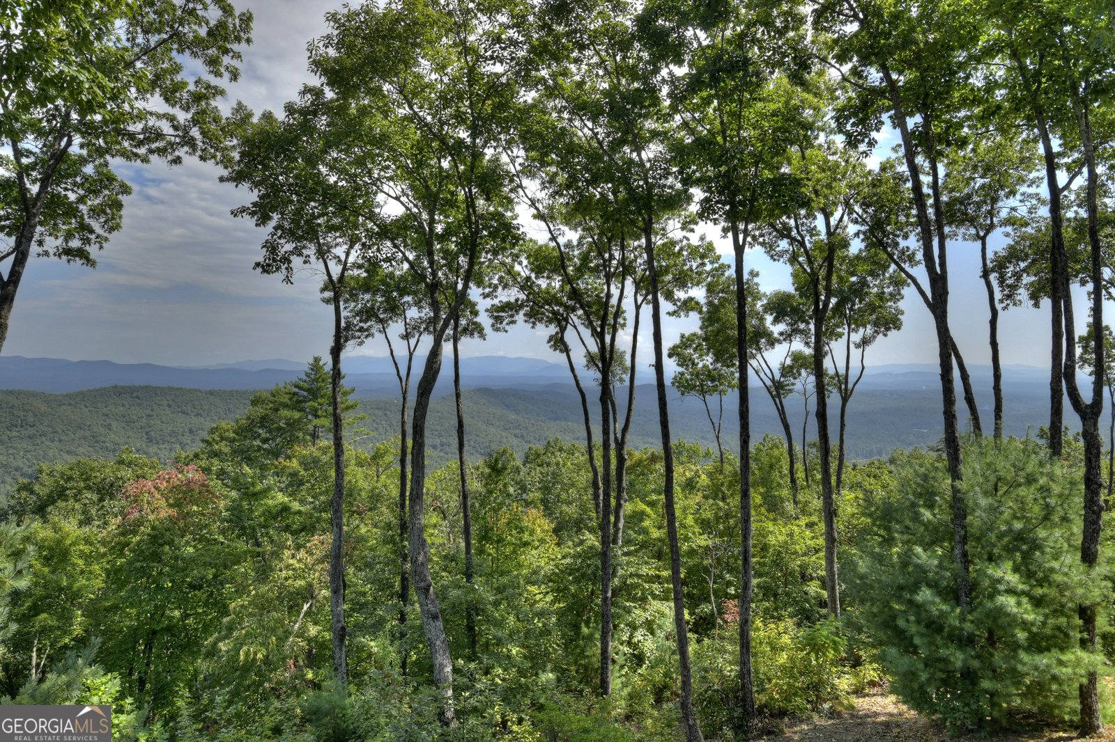 72 Wohali Knob Trail Ellijay - Photo 15
