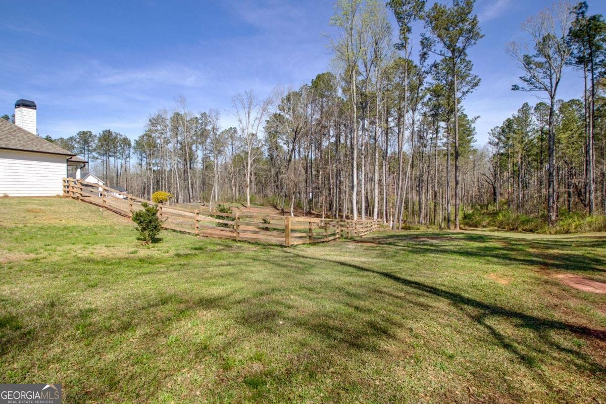 69 Al Roberts Road Senoia - Photo 45