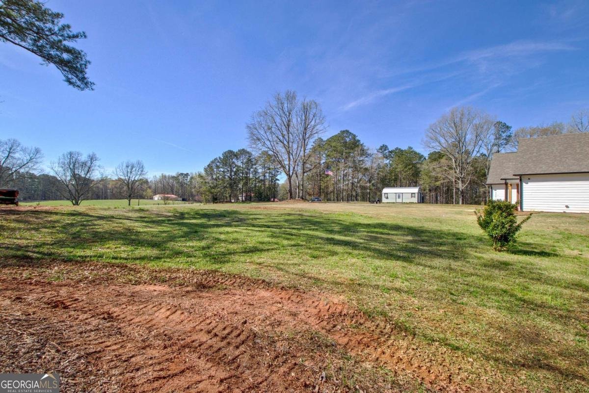 69 Al Roberts Road Senoia - Photo 46