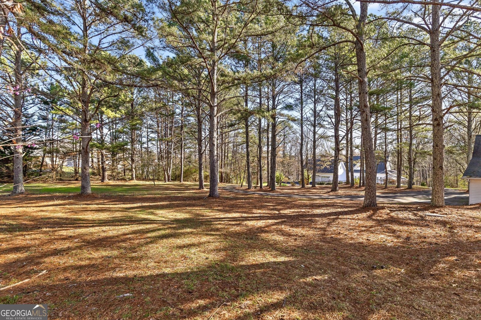 895 Ross Hollow Road Ringgold - Photo 53