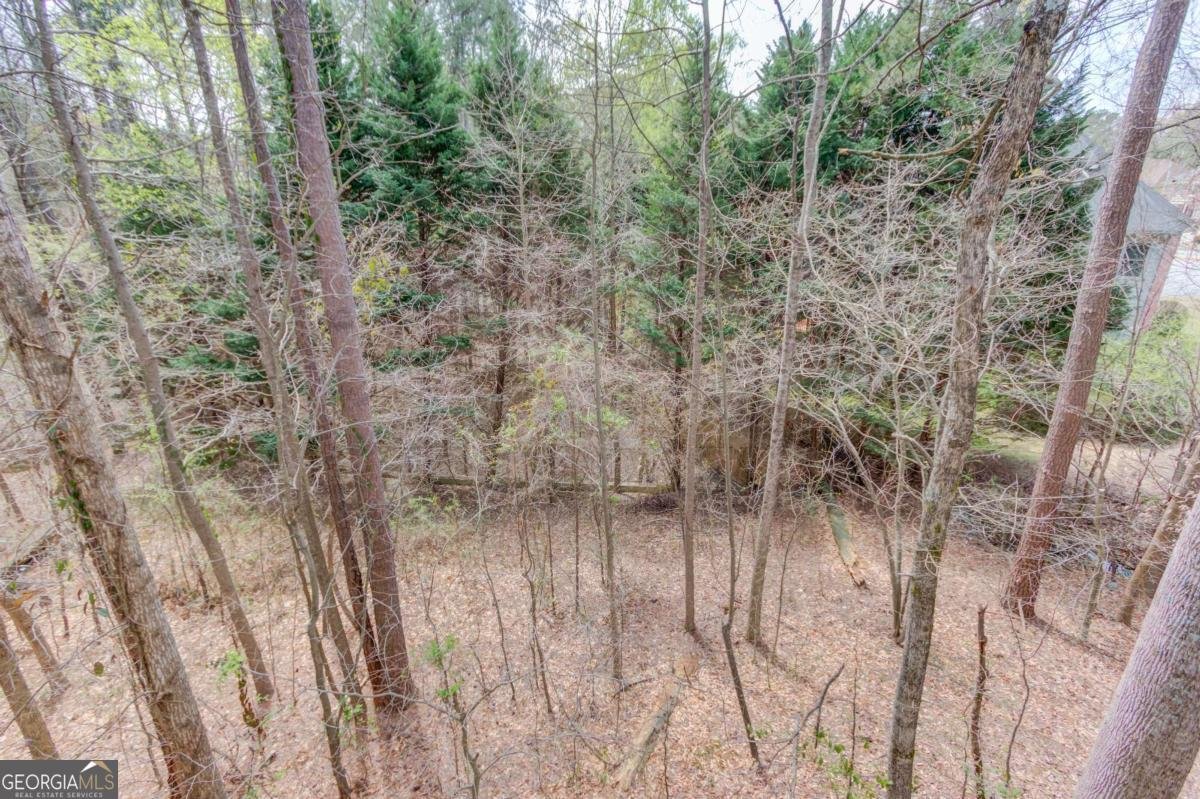 11007 Lorin Way Duluth - Photo 27