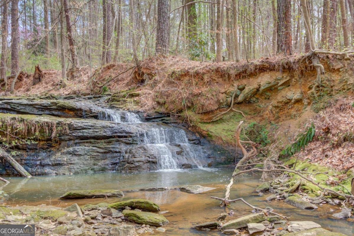 11007 Lorin Way Duluth - Photo 30