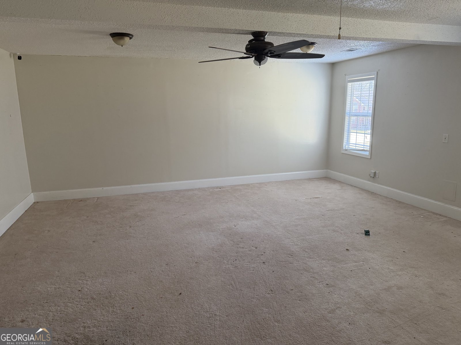 3868 Twin Ridge Lane Ellenwood - Photo 10