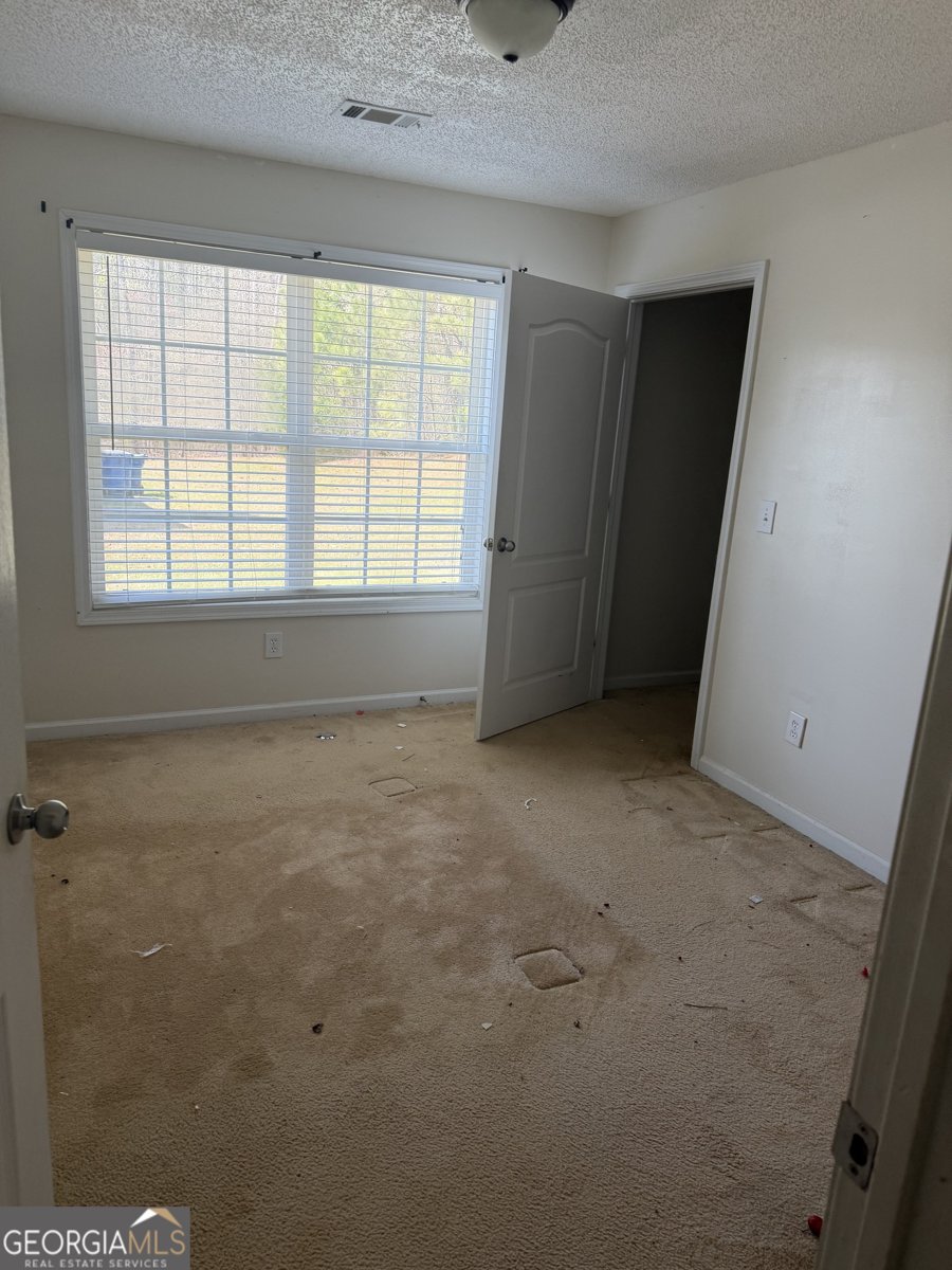 3868 Twin Ridge Lane Ellenwood - Photo 11