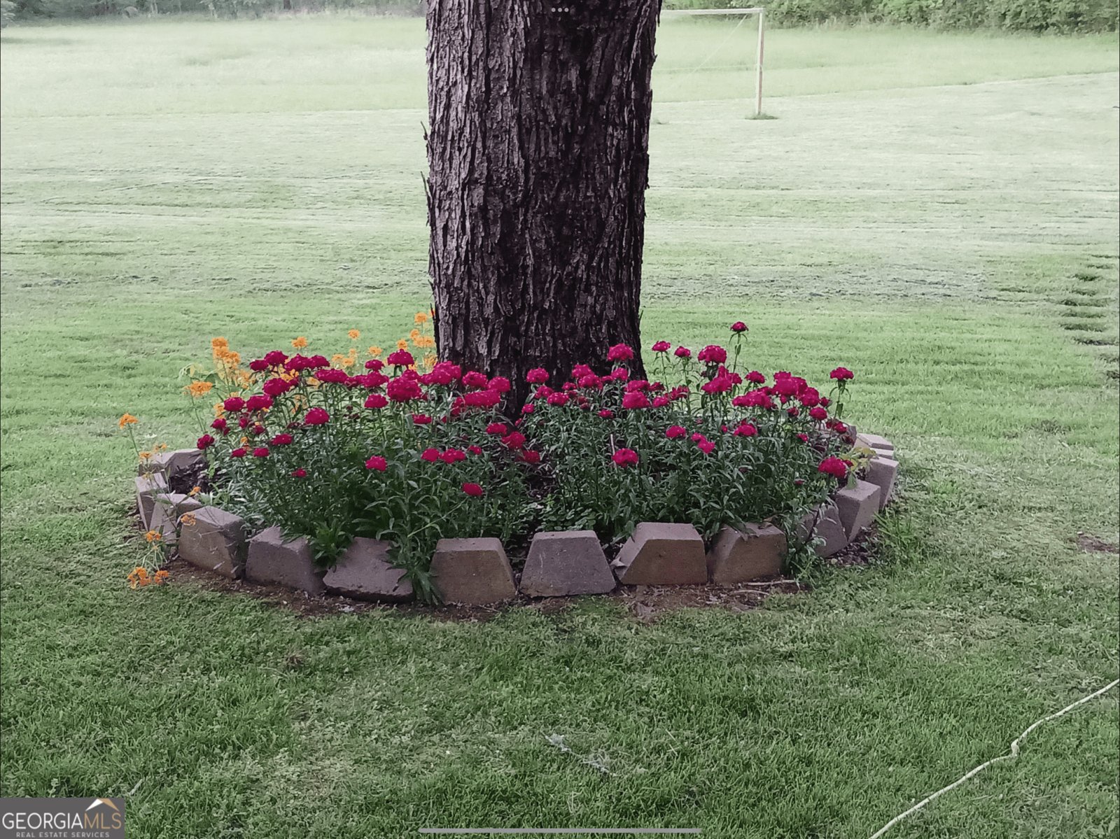 187 Bierce Drive Young Harris - Photo 50