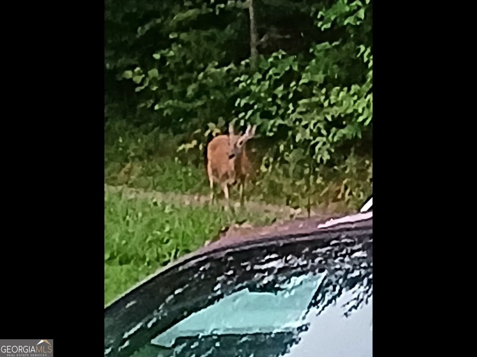 187 Bierce Drive Young Harris - Photo 54
